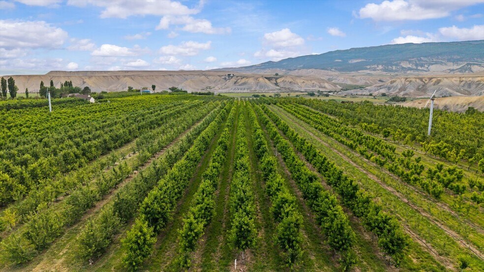 More Photos Of 20809 Nowhere Rd, Eckert Land For Sale