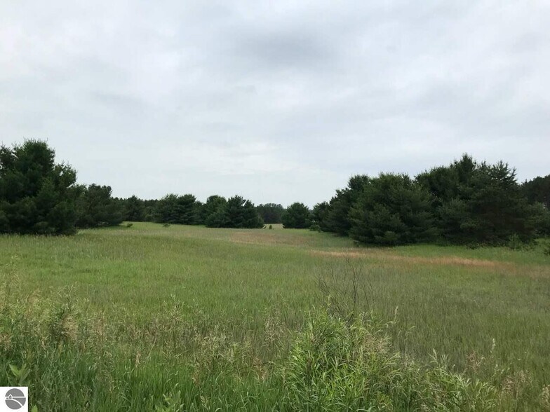 More Photos Of 0 Business US-131 Hwy, Cadillac Land For Sale