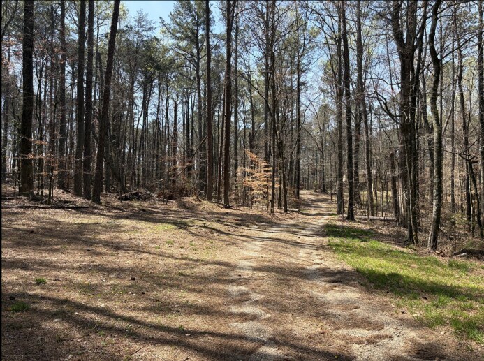 Primary Photo Of 375 Pleasant Union Rd, Canton Land For Sale