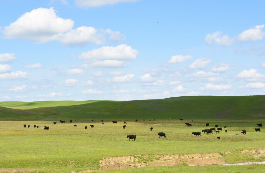 More Photos Of Road 33 @ Road D, Artois Land For Sale