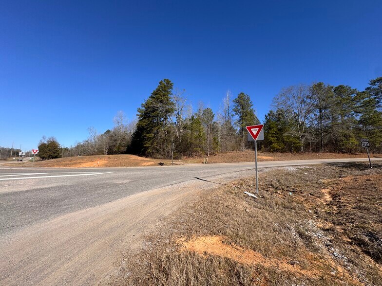 Primary Photo Of U.S. 31, Verbena Land For Sale