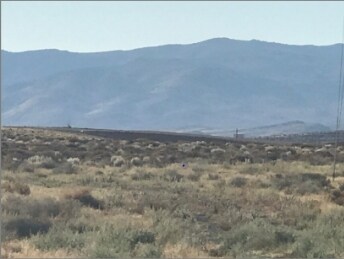 More Photos Of Esther Ave - Geraldine Ave - Fir St - Micro Way, Silver Springs Land For Sale