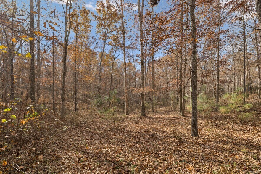 More Photos Of 3158 Summertown Hwy, Summertown Hotel For Sale