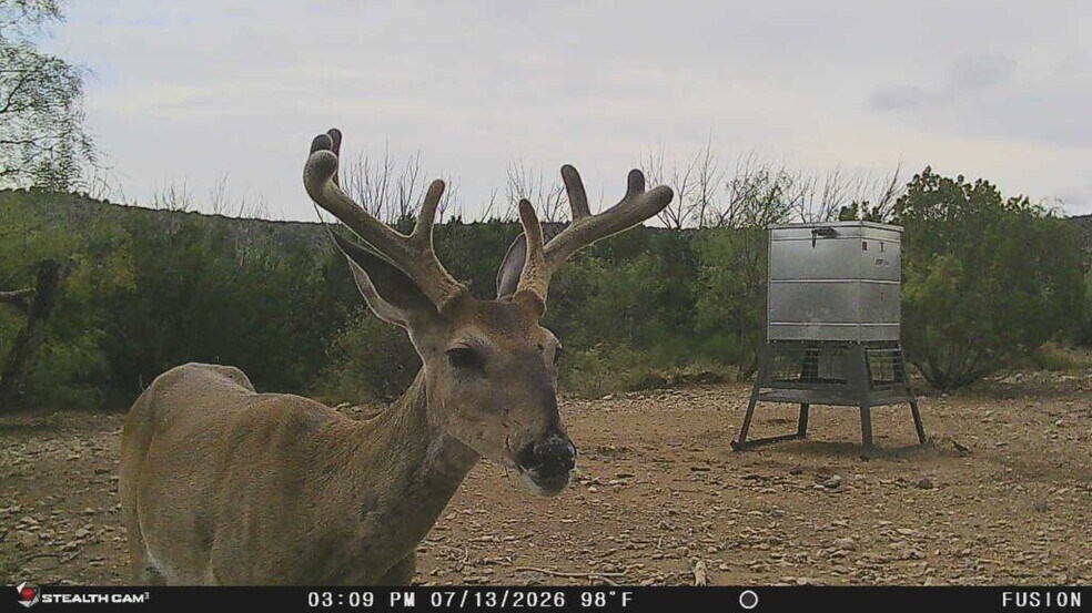 More Photos Of 0000 Clegg Rd, Ozona Land For Sale