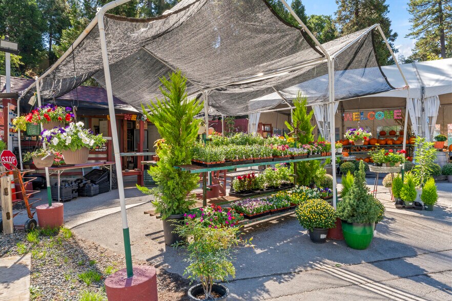More Photos Of 303 CA-173 Hwy, Lake Arrowhead Garden Center For Sale