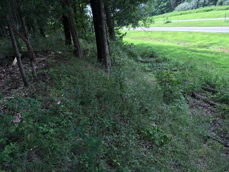 More Photos Of Parrish Ridge Ln, Goreville Land For Sale