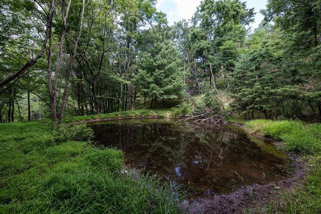 More Photos Of 22590 Criders Rd, Criders Land For Sale