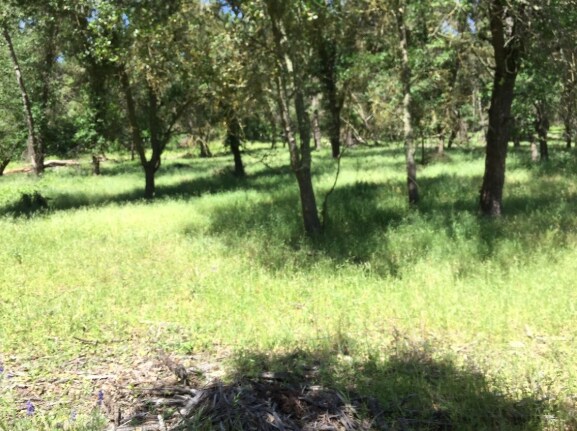 More Photos Of 0 Delmar Loomis CA 95650 ave, Loomis Land For Sale