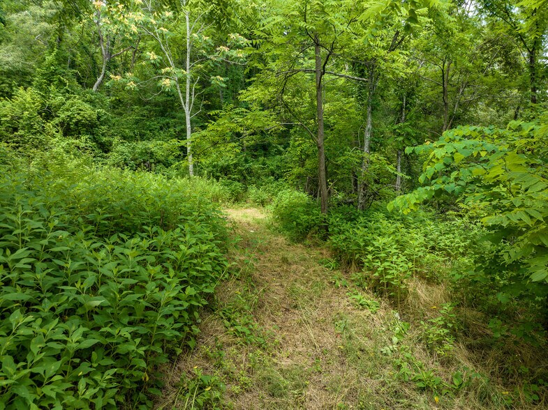 More Photos Of 0000 HWY 70, Swannanoa Land For Sale