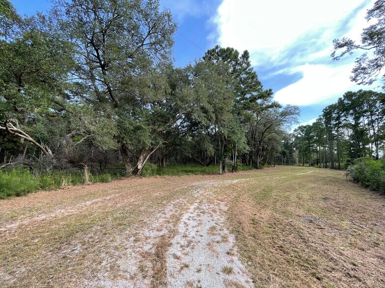 More Photos Of 0 King Rail Lane, Edisto Island Land For Sale