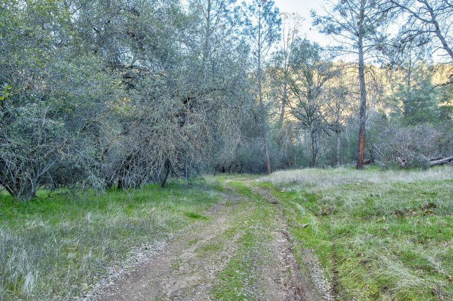 More Photos Of 50871 Road 200, O Neals Land For Sale
