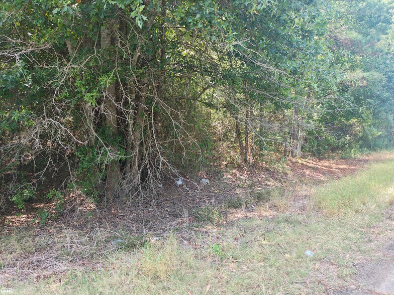 More Photos Of 0 Lot 028 Block DC 425 hwy, Bastrop Land For Sale