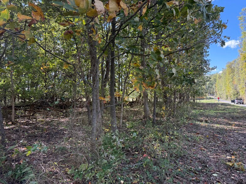 More Photos Of 6423 IL-184, Royalton Land For Sale