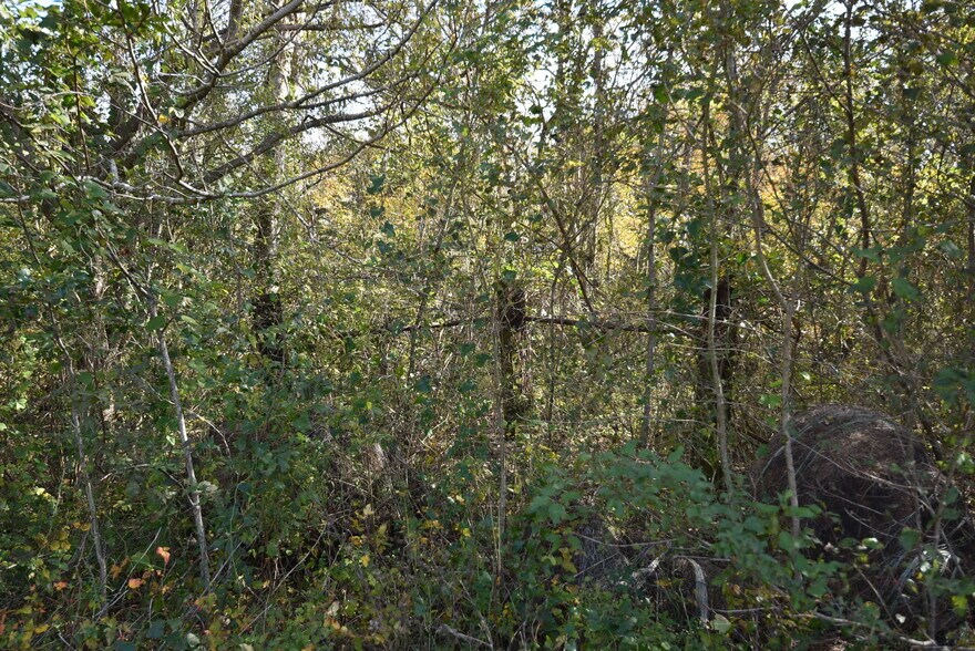 More Photos Of 201 County Road 224, Wharton Land For Sale