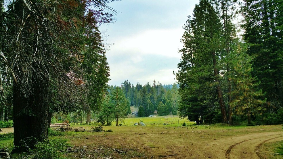 More Photos Of Forest Route, Hume Land For Sale