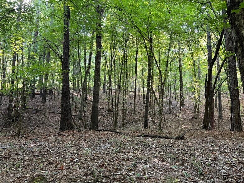 More Photos Of 92 Lillian Strong rd, Carlton Land For Sale