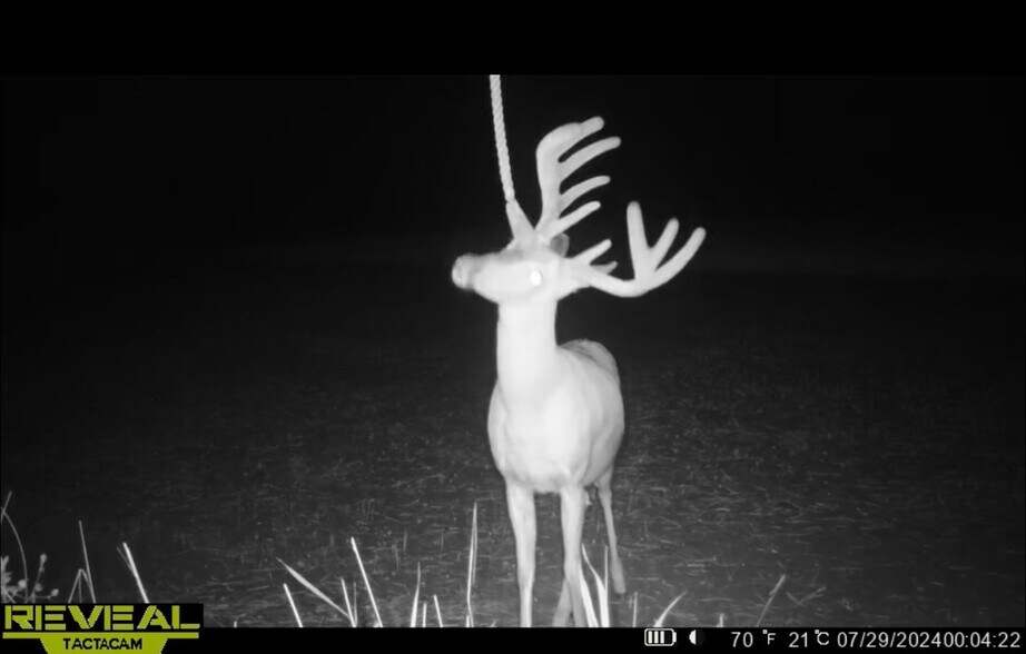 More Photos Of Fisher Road, Iola Land For Sale