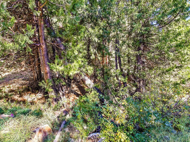 More Photos Of 13651 US Hwy 50, Kyburz Land For Sale