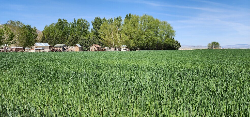 More Photos Of Fish Lake Valley, Dyer Land For Sale