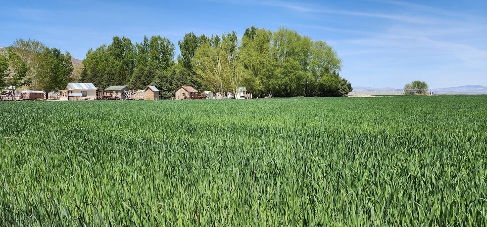 More Photos Of Fish Lake Valley, Dyer Land For Sale