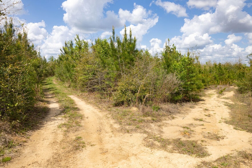 More Photos Of US 84 hwy, Newton Land For Sale