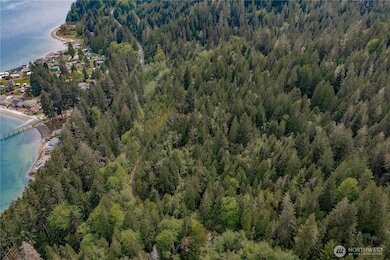 More Photos Of N US Hwy 101, Lilliwaup Land For Sale