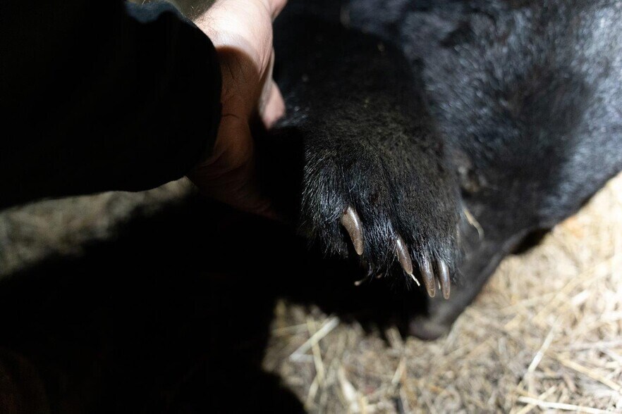 More Photos Of 0 Foothills Rd, Callaway Land For Sale