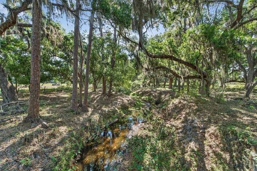 More Photos Of Carlton Rd, Plant City Land For Sale