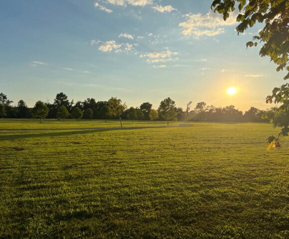 More Photos Of 2730 Maidens Loop, Maidens Land For Sale