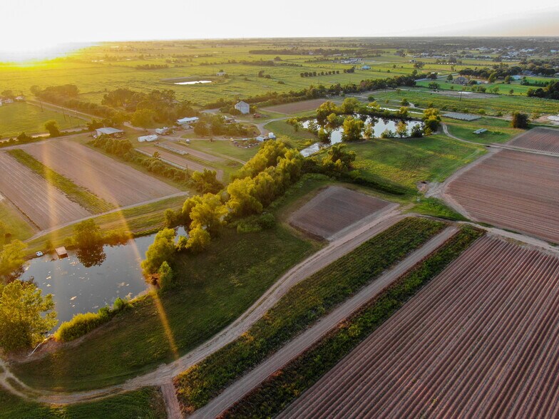 More Photos Of 14134 Penick Rd, Waller Land For Sale
