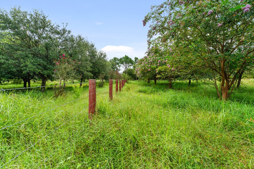 More Photos Of 23111 FM 1462 Rd, Damon Land For Sale