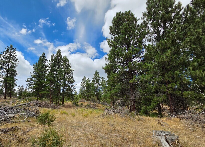 More Photos Of 32611 Tackman Rd, Prineville Land For Sale