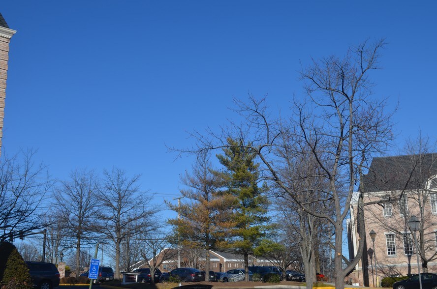 More Photos Of 3923 Blenheim Blvd, Fairfax Medical For Sale