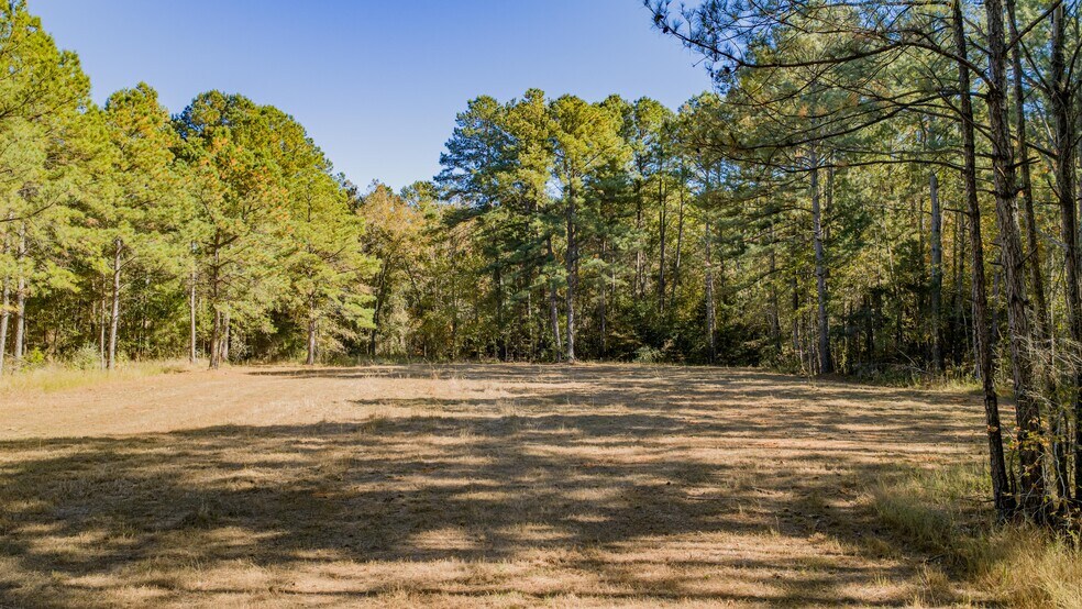 More Photos Of 12806 Wood Rd, Diana Land For Sale
