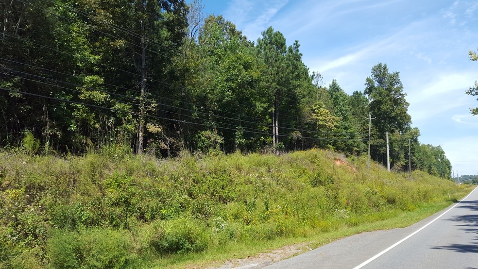 More Photos Of Ball Ground Hwy, Ball Ground Land For Sale