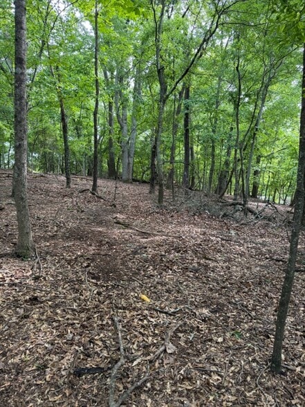 More Photos Of 357 Linwood dr, Gainesville Land For Sale