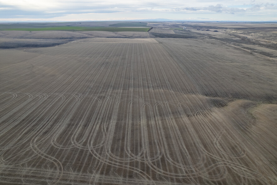 Primary Photo Of Hwy 21 @ Griffith Road, Odessa Land For Sale