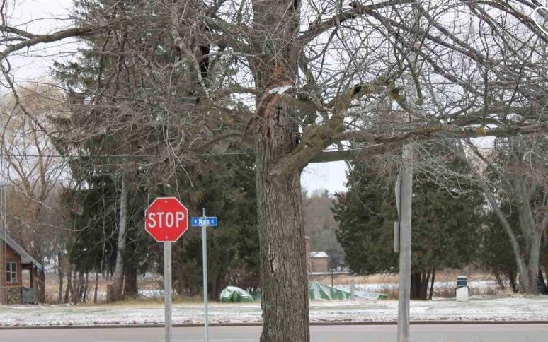 More Photos Of 526 W Main St, Wautoma Land For Sale