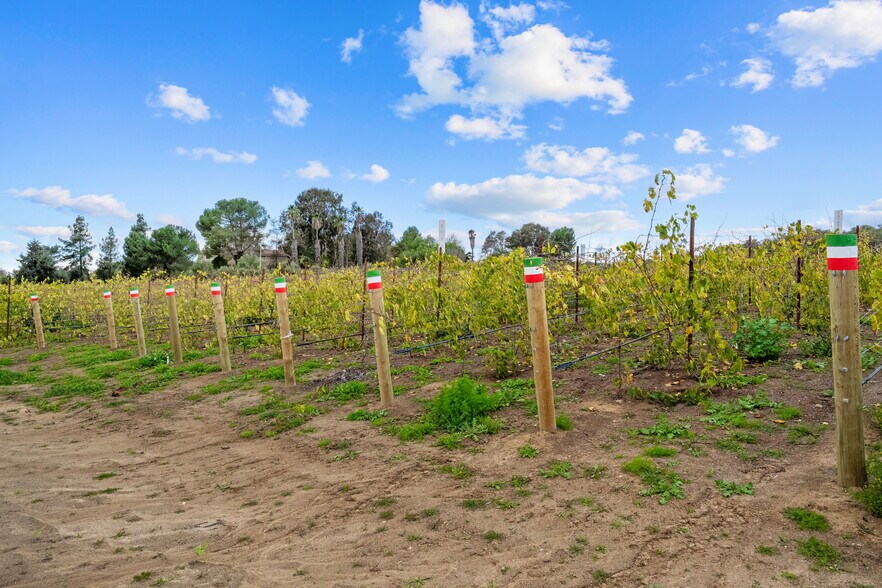 More Photos Of 41309 Avenida Biona, Temecula Winery Vineyard For Sale