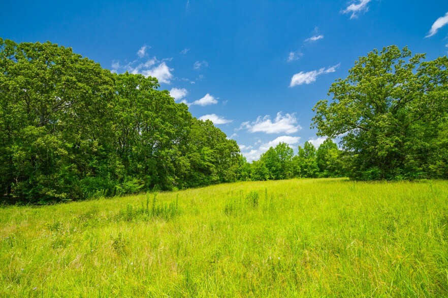 More Photos Of County Road 3311, Omaha Land For Sale