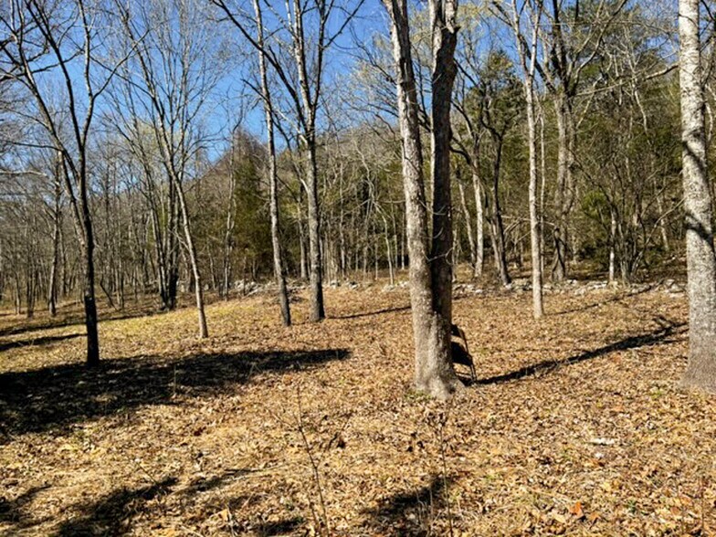 More Photos Of 4103 River Road, Guion Land For Sale