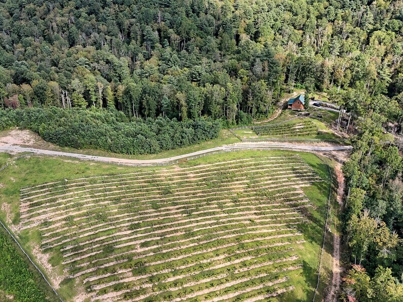 More Photos Of 781 Payne dr, Zirconia Land For Sale