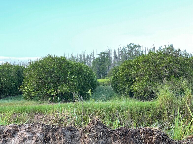 More Photos Of 6210 Holopaw rd, Saint Cloud Land For Lease