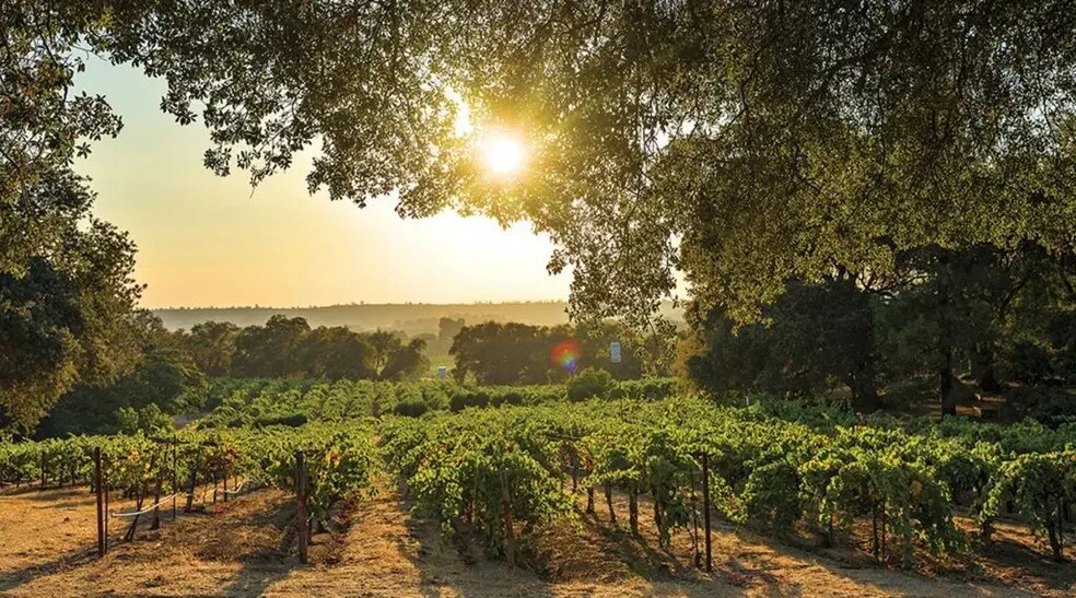 More Photos Of 20680 Shenandoah School Rd, Plymouth Winery Vineyard For Sale