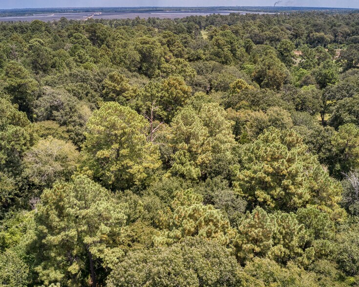 More Photos Of 2160 Bowler Rd, Waller Land For Sale