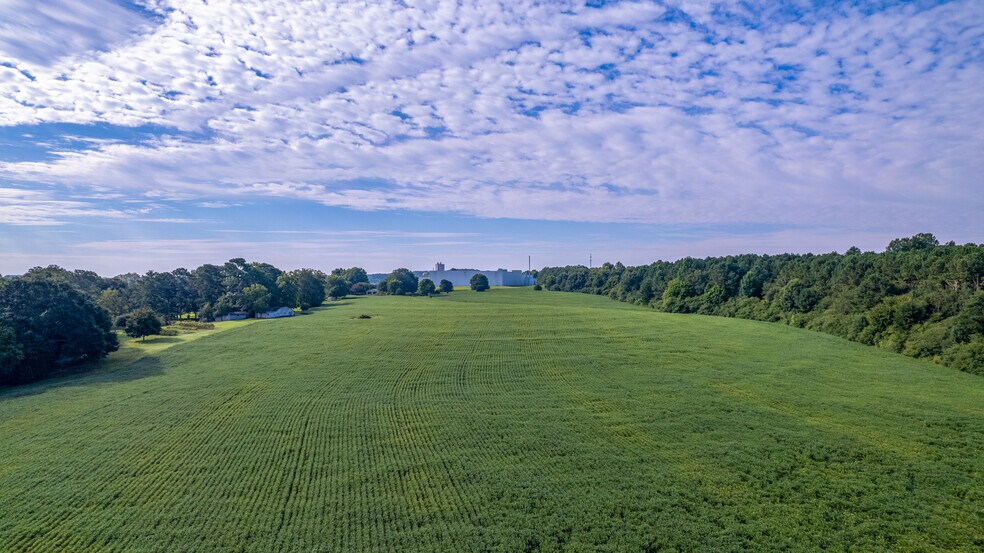 More Photos Of 1585 Railroad Ave, Albertville Land For Sale