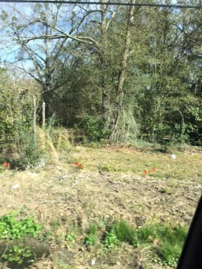 More Photos Of Lee Rd- Hwy 437, Covington Land For Sale