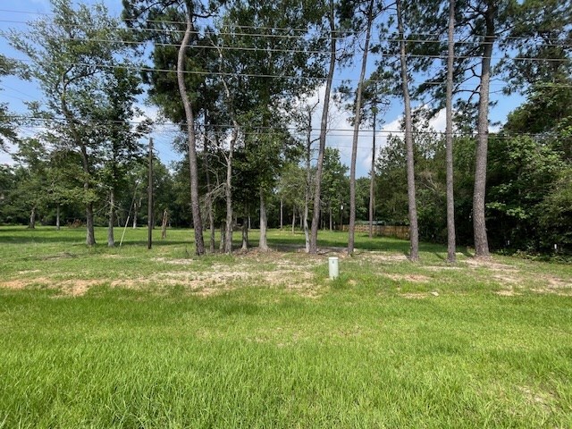 Primary Photo Of 4106 Hwy 69 S Hwy, Lumberton Land For Sale