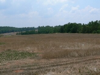 More Photos Of 40 Jackson Ave, Braselton Land For Sale