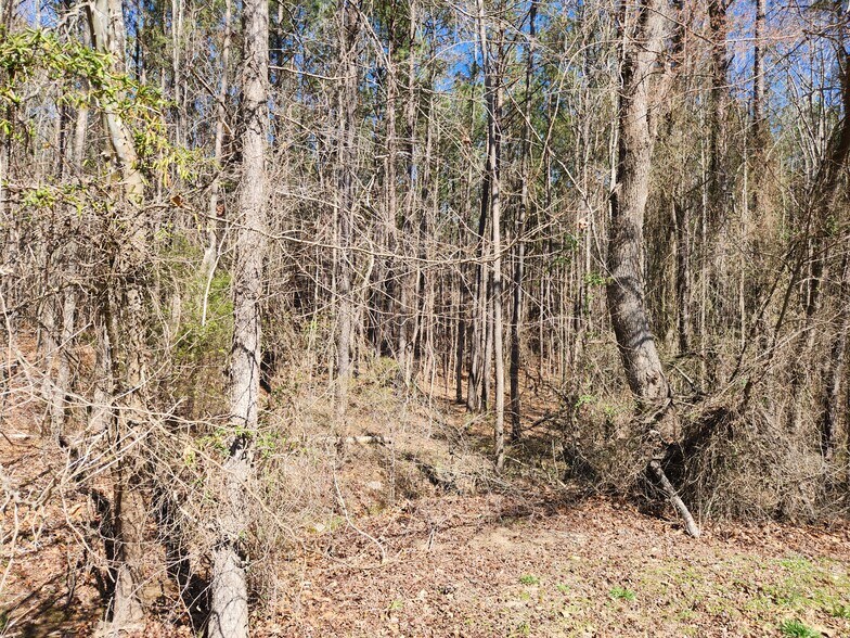 More Photos Of 3004 U.S. 401 Hwy, Louisburg Land For Sale